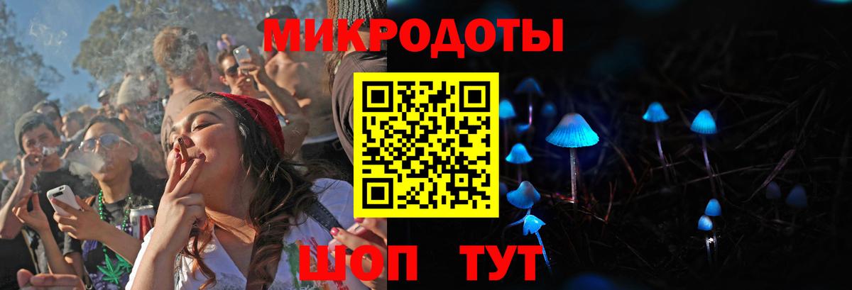 Галлюциногенные грибы Psilocybe  Вход с VPN  Торжок  Псилоцибиновые грибы мицелий 